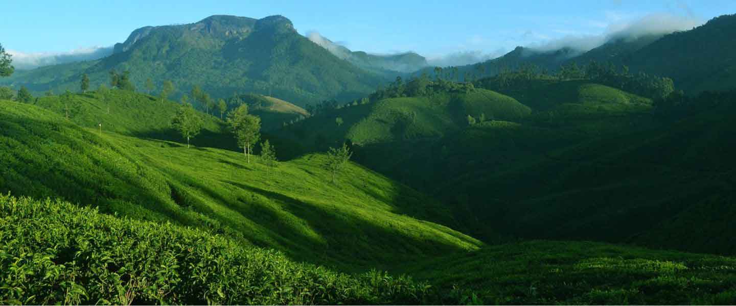 Echo Point Munnar
